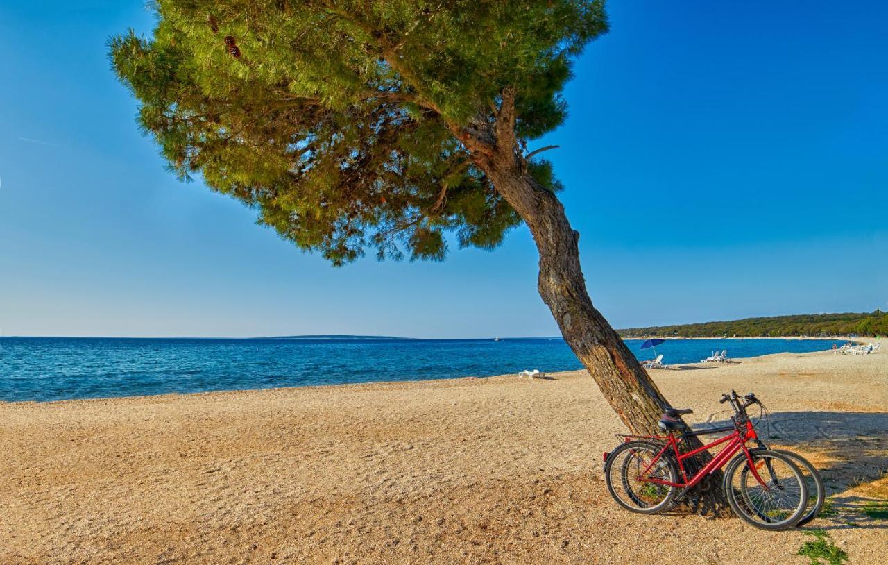 Studio Apartments Lace Novalja Εξωτερικό φωτογραφία
